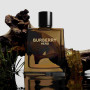 Burberry Hero Eau de Parfum Recarregável 100ml