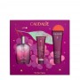 Caudalie Thé des Vignes Coffret