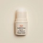 Embryolisse Stick Corretor de Olheiras Express 4.5g