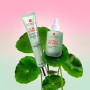 Erborian CC Red Correct SPF30 15ml