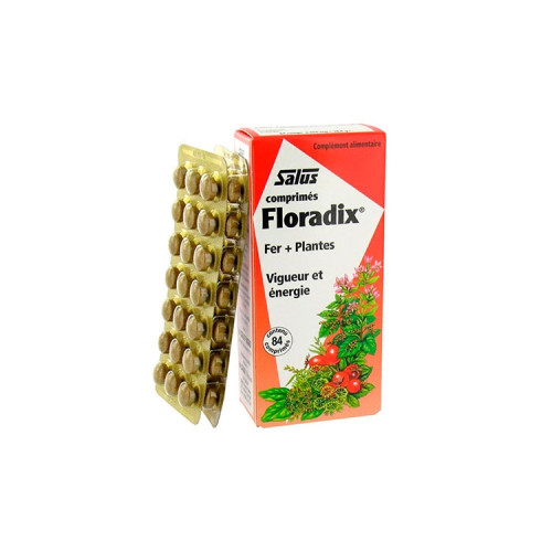 Floradix 84 comprimidos