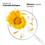 Klorane Bebé Calêndula BIO Creme Hidratante 50ml
