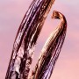 Lancôme La Vie est Belle Vanille Nude Eau de Parfum 50ml