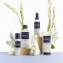 Phyto Douceur Shampoo Seco 75ml