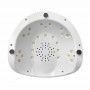 RickiParodi EcoPro Catalisador Led Profissional
