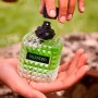 Valentino Donna Born in Roma Green Stravaganza Eau de Parfum 100ml