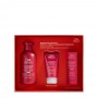 Wella Ultimate Repair Coffret